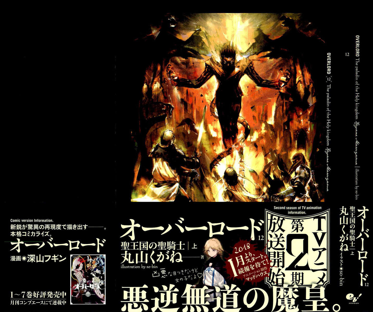 第十二卷 圣王国的圣骑士 上 插图