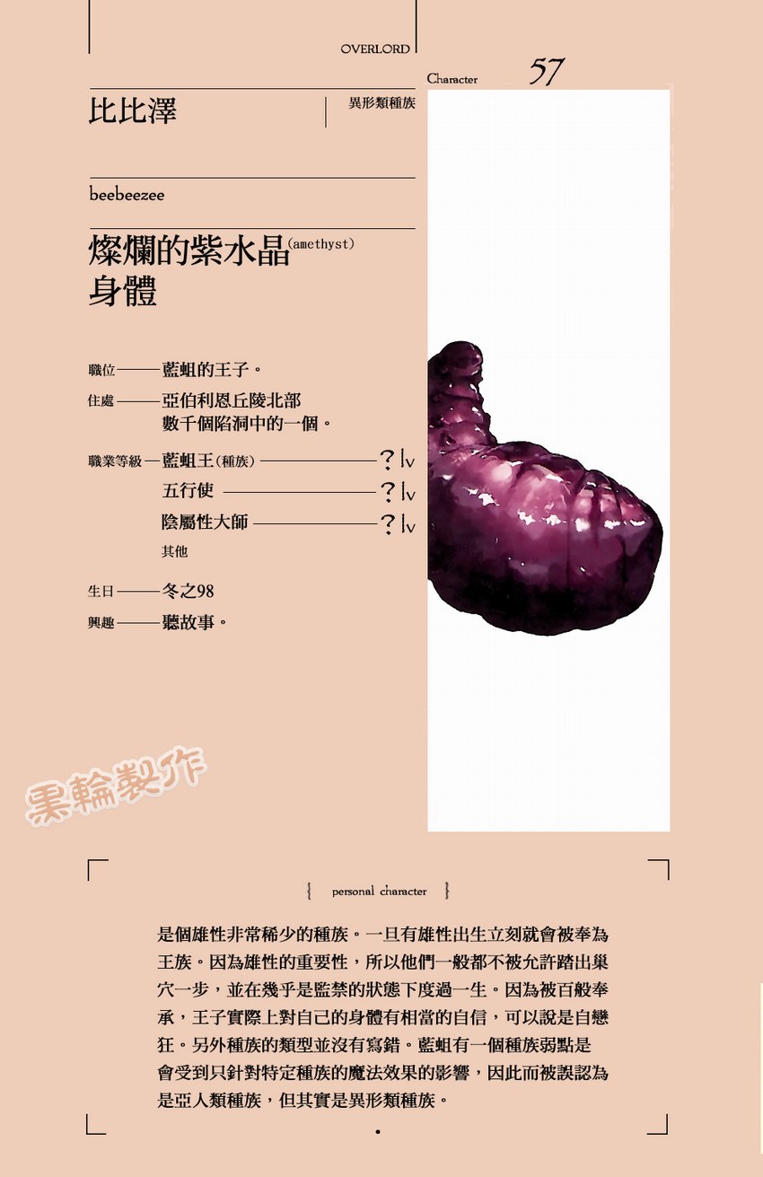 第十三卷 圣王国的圣骑士 下 插图