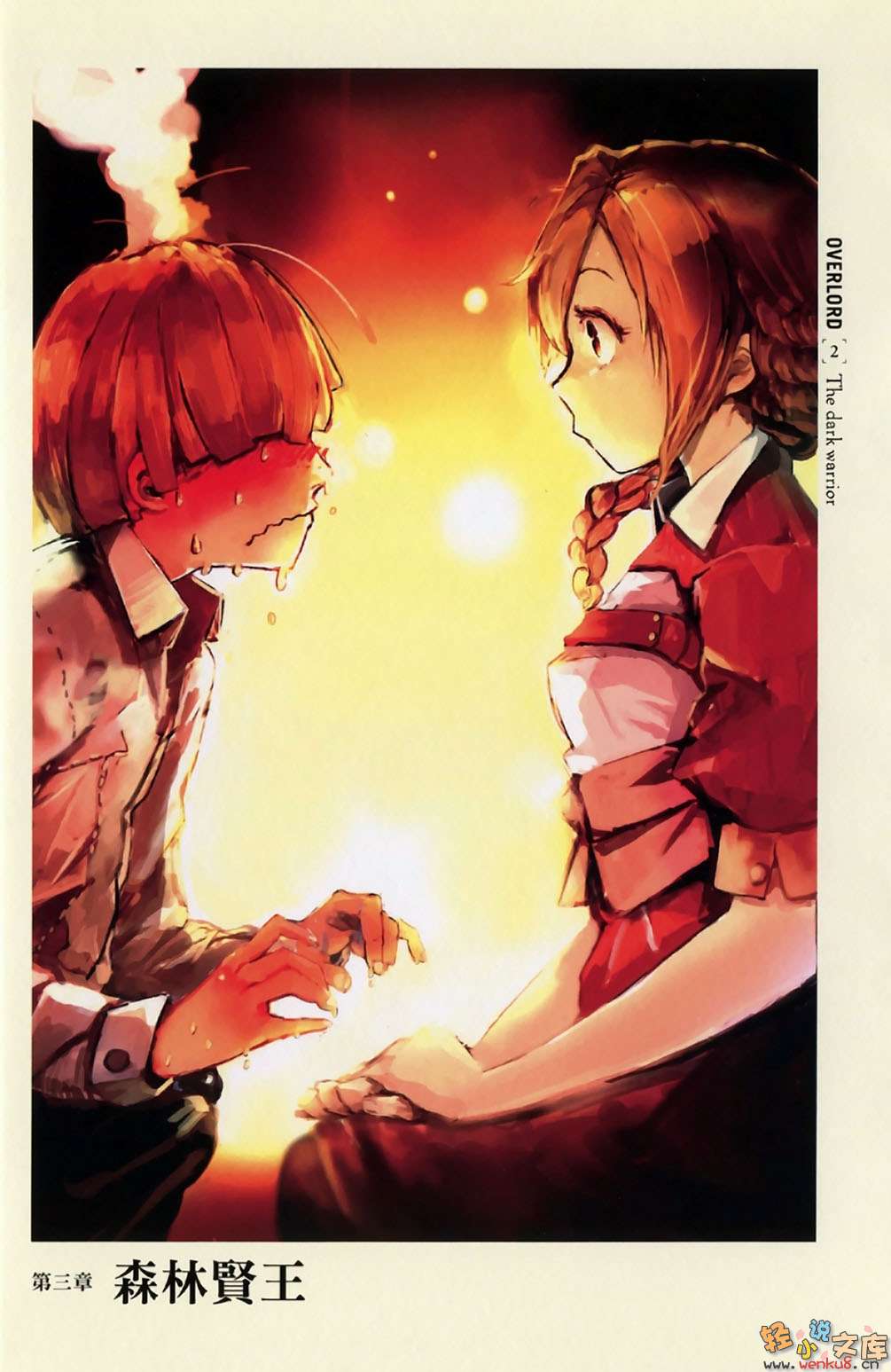 第二卷 黑暗战士 插图