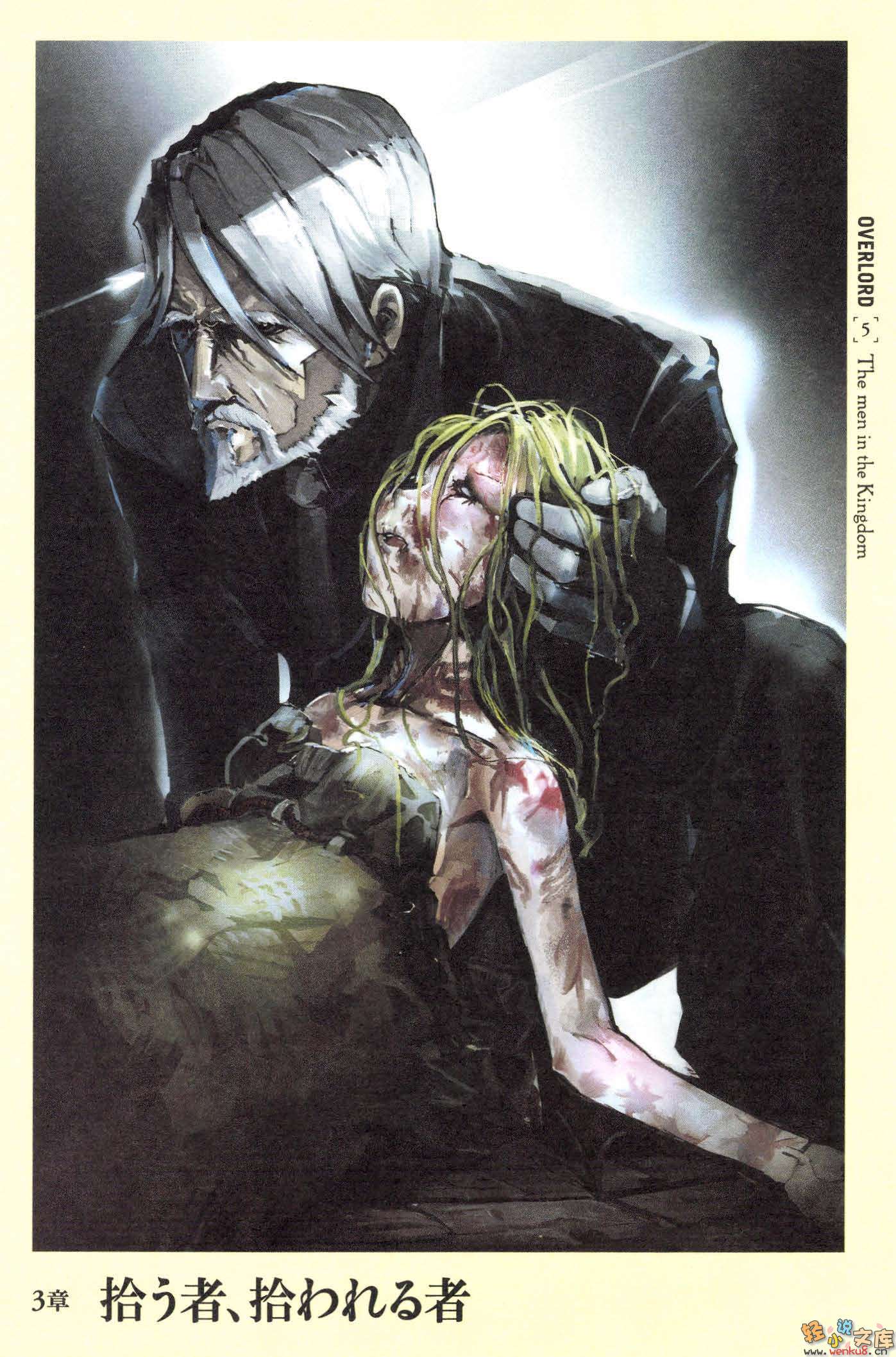 第五卷 王国好汉 上 插图