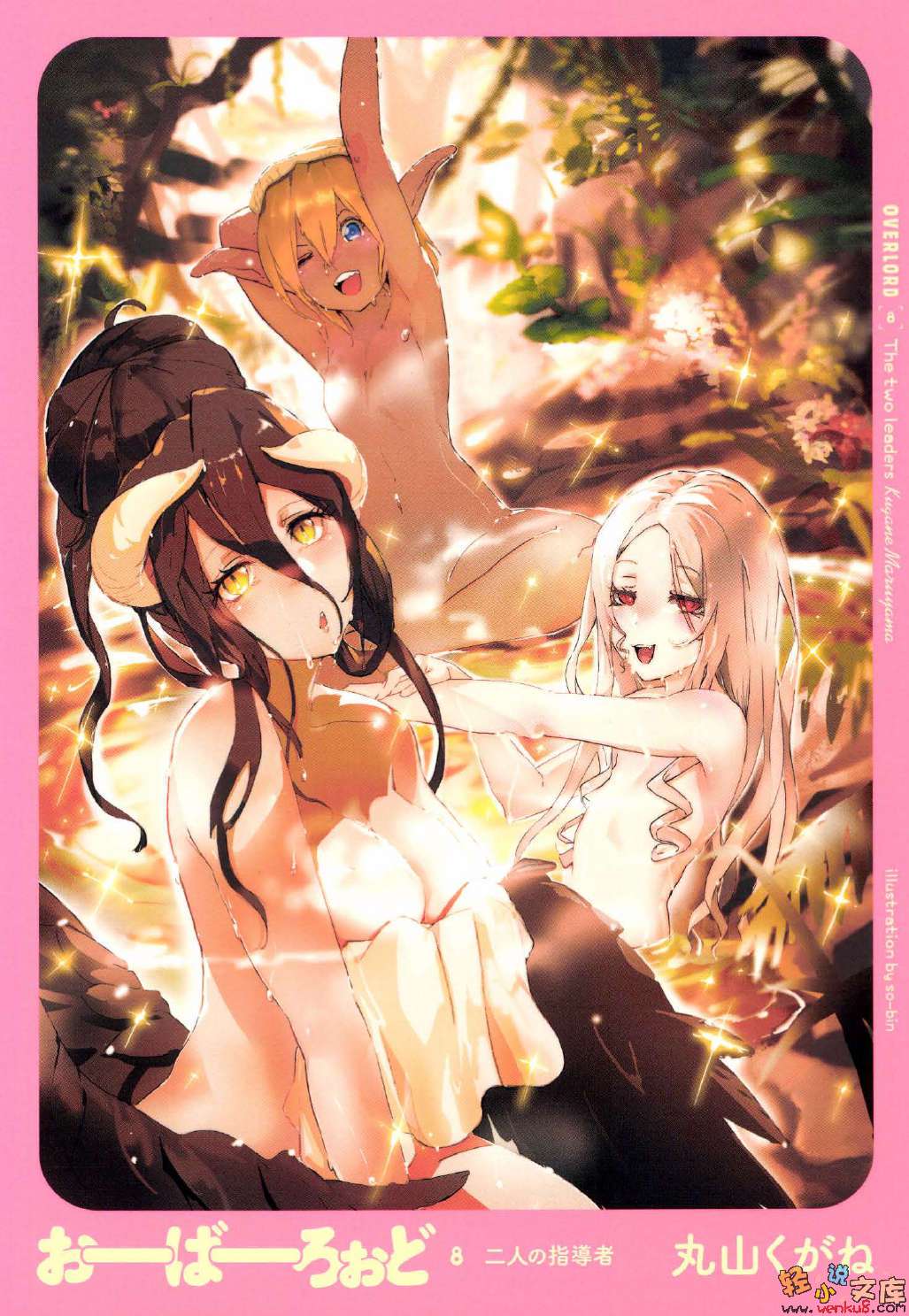 第八卷 两位领导者 插图